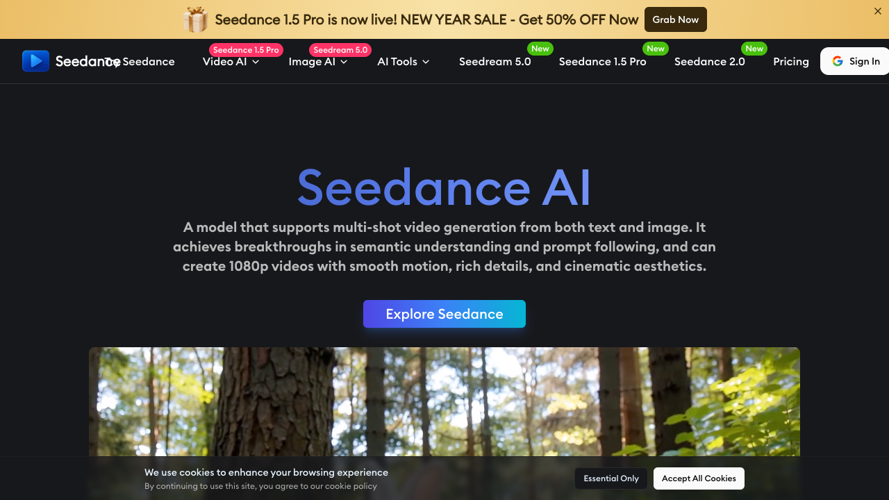 Seedance screenshot
